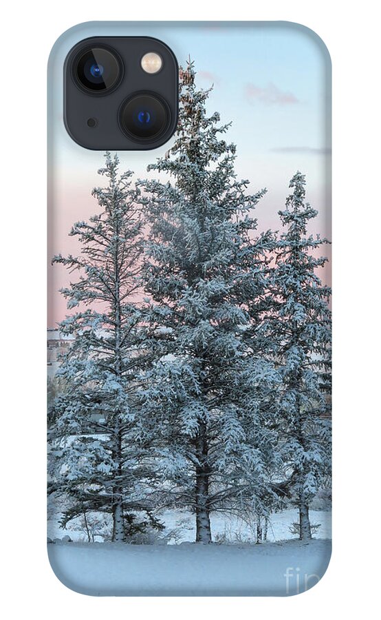 Tree iPhone 13 Case featuring the photograph Three Trees by Ronda Kimbrow