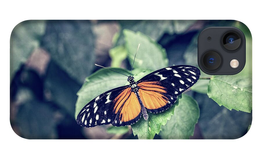 Tiger iPhone 13 Case featuring the photograph Tiger Longwing Butterfly by Tim Abeln