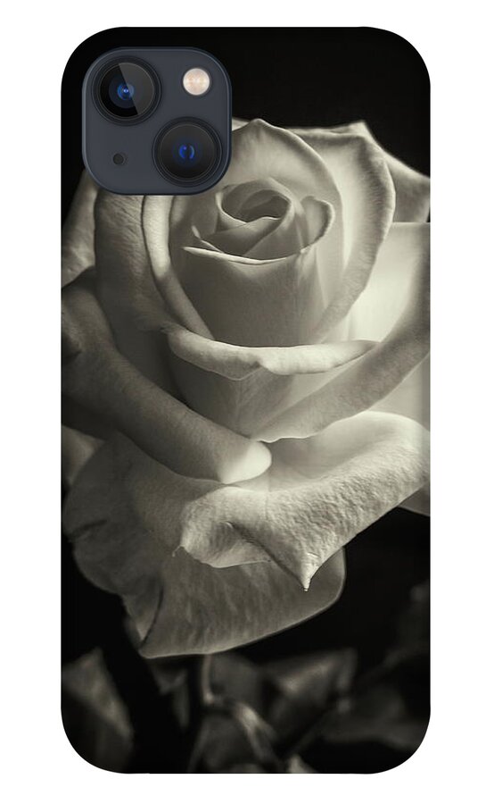 Rose iPhone 13 Case featuring the photograph Tinted Rose by Jeff Townsend