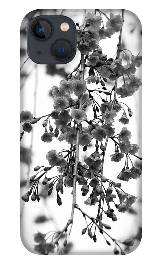 Cherry Blossom Trees iPhone 13 Case featuring the photograph Tiny Buds And Blooms by Angie Tirado
