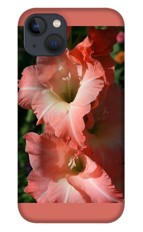 Gladiolus iPhone 13 Case featuring the photograph Tiny Ruffles Gladiolus by Tammy Pool