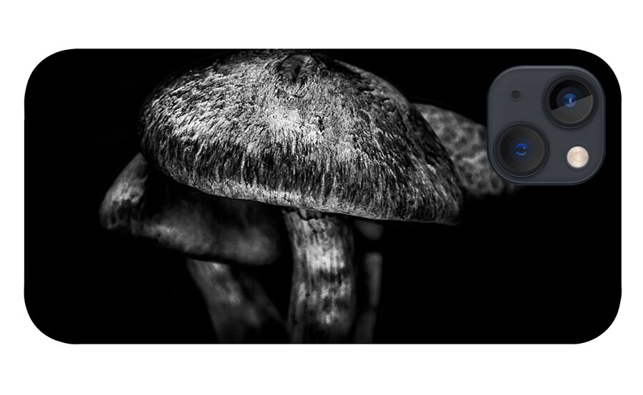 Toronto iPhone 13 Case featuring the photograph Toadstools On A Toronto Trail 1 by Brian Carson