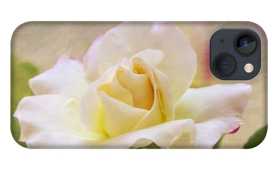 Rose iPhone 13 Case featuring the photograph Touch Of Pink by Cathy Kovarik