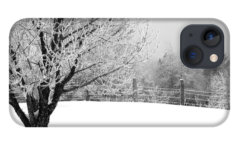 Frost iPhone 13 Case featuring the photograph Tree by Jessica Wakefield
