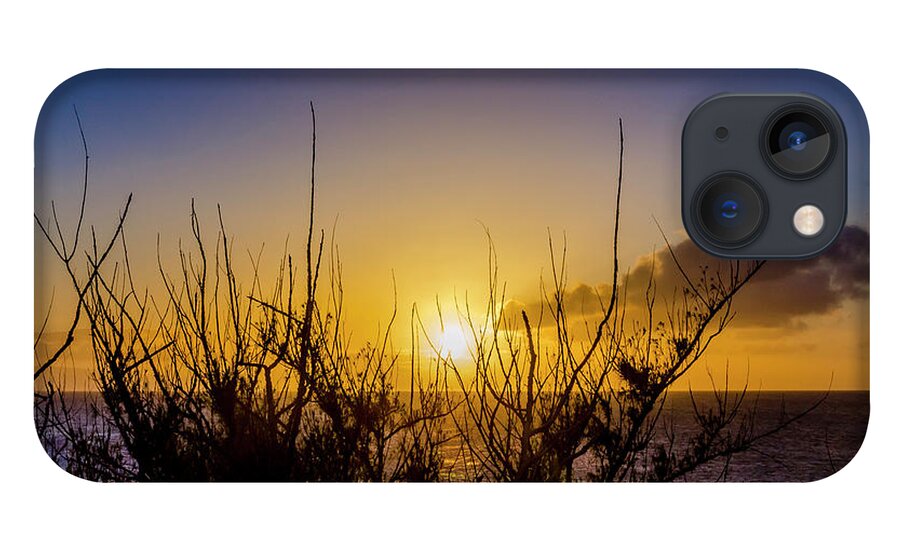 Ocean iPhone 13 Case featuring the photograph Tree Sunset by Daniel Murphy