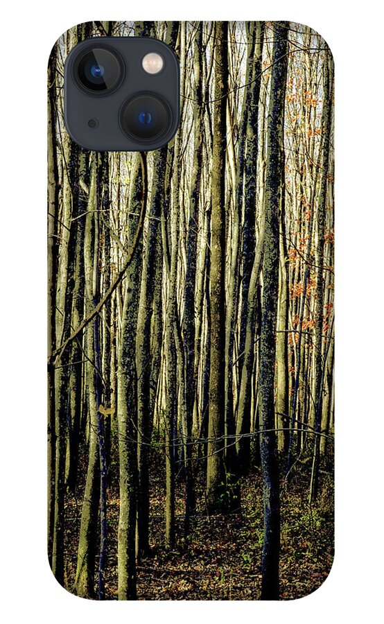 Treez iPhone 13 Case featuring the photograph Treez Yellow by Lon Dittrick