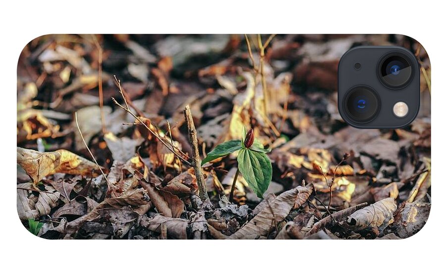 Plant iPhone 13 Case featuring the photograph Trillium Blooming in Leaves on Forrest Floor by Amber Flowers