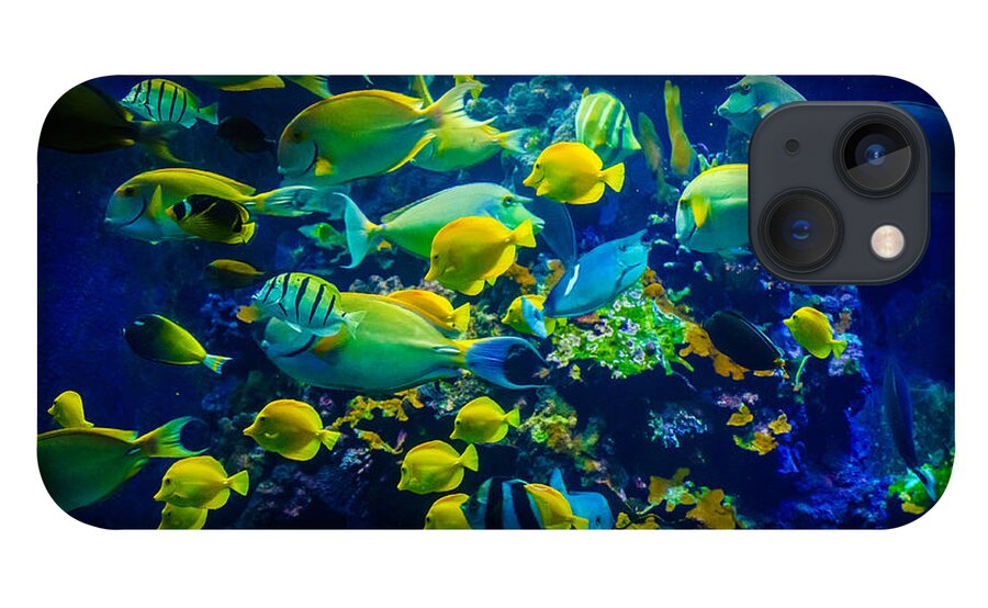Fish iPhone 13 Case featuring the photograph Tropical Fishes of Maui by Janis Knight