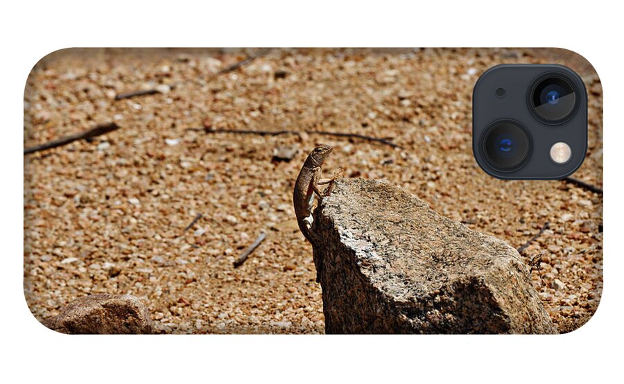 Lizard iPhone 13 Case featuring the photograph Tough guy by James Smullins