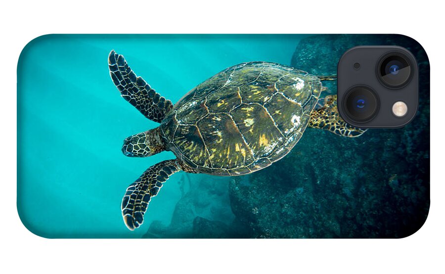 Sea Turtle iPhone 13 Case featuring the photograph Turtle Blues by Leonardo Dale