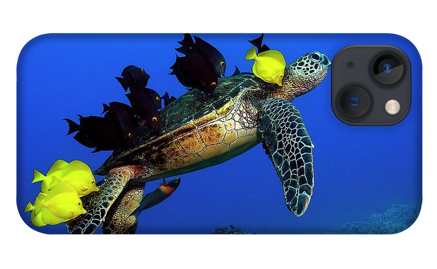 Hawaii iPhone 13 Case featuring the photograph Turtle grooming by Artesub