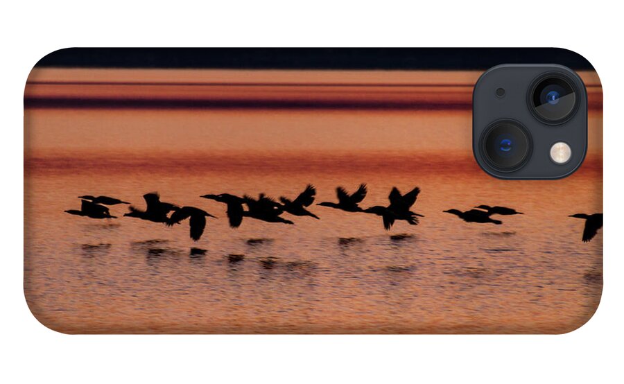 Water iPhone 13 Case featuring the photograph Under the Radar by William Norton