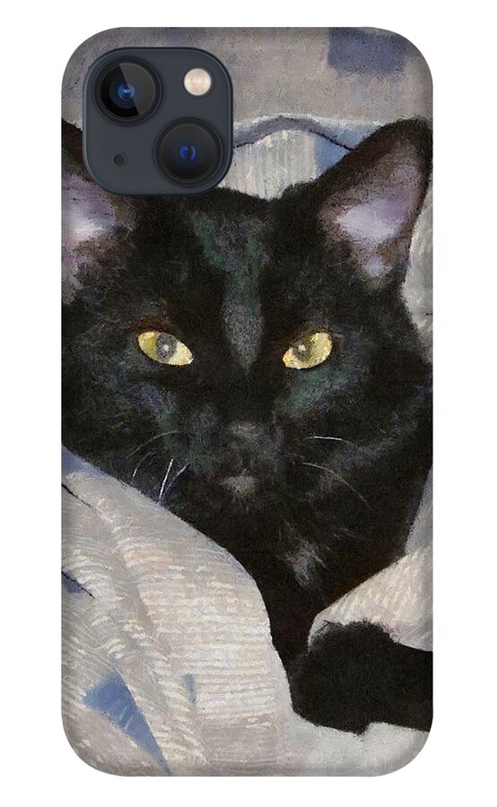 Cat iPhone 13 Case featuring the painting Undercover Kitten by Jeffrey Kolker