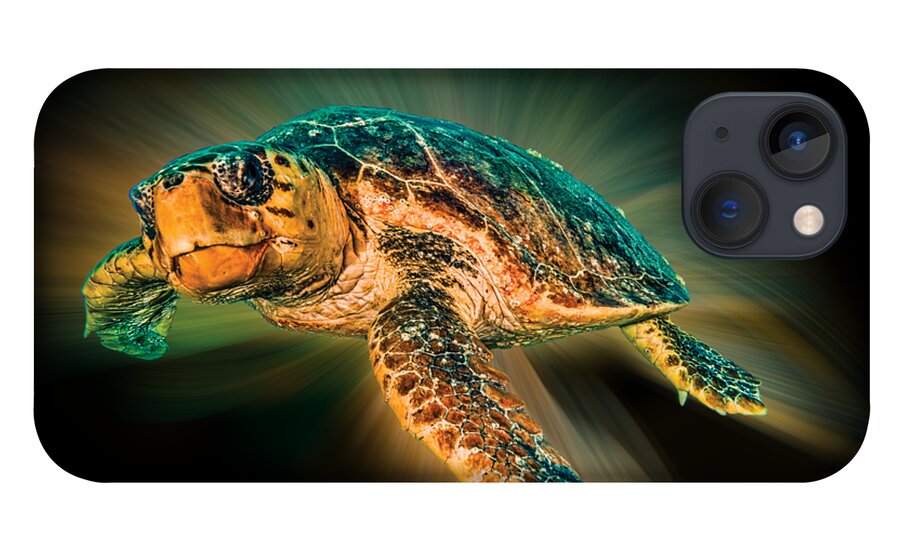 Turtle iPhone 13 Case featuring the photograph Undersea Turtle by Debra and Dave Vanderlaan