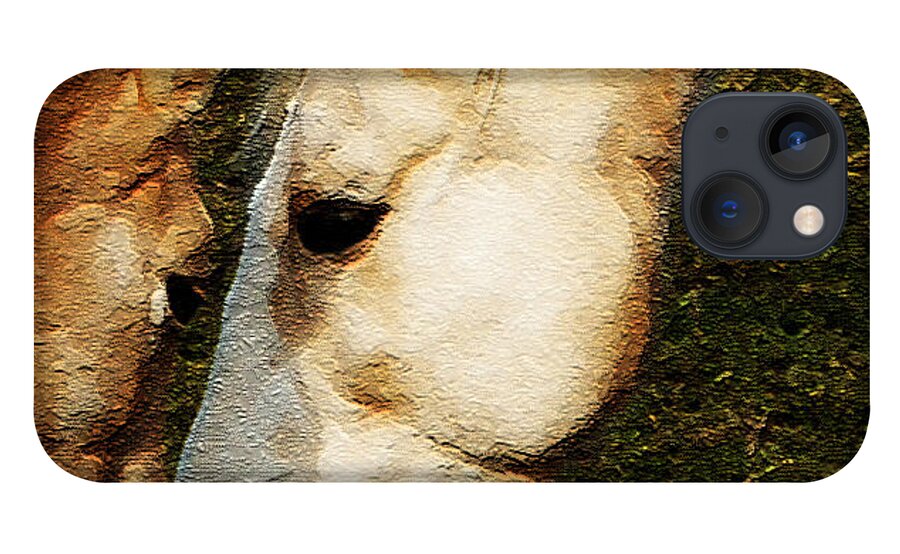 Horses iPhone 13 Case featuring the photograph Understanding by Linda Shafer