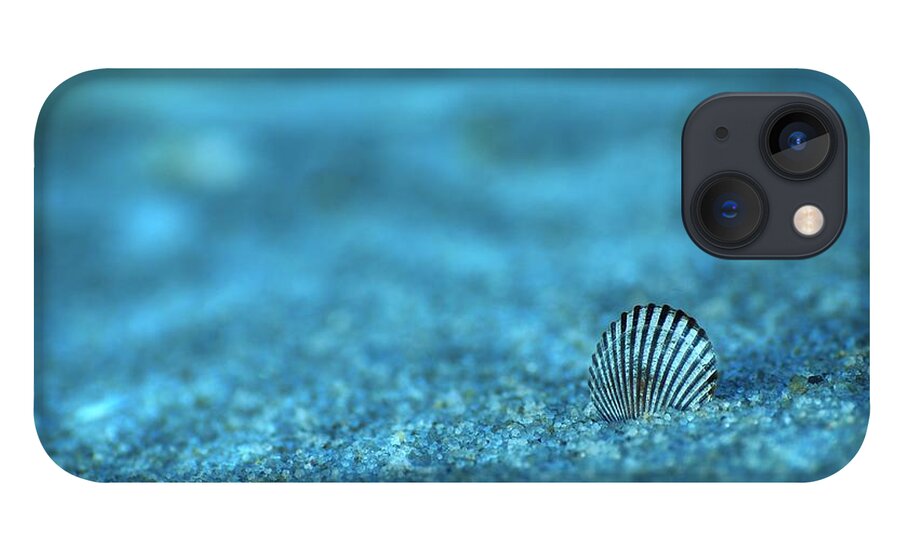 Seashells iPhone 13 Case featuring the photograph Underwater Seashell - Jersey Shore by Angie Tirado