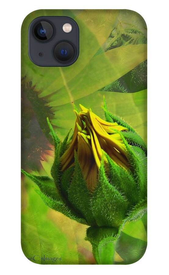 Sunflower iPhone 13 Case featuring the digital art Unfolding Sunflower by Kae Cheatham