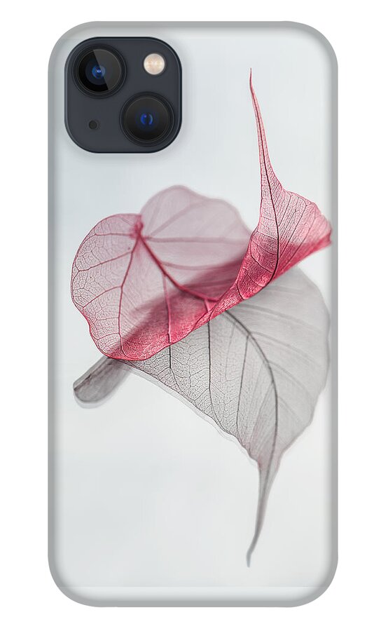 Leaf iPhone 13 Case featuring the photograph Uplifted by Maggie Terlecki