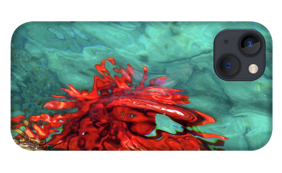 Urchin iPhone 13 Case featuring the photograph Urchin Abstract by Ted Keller
