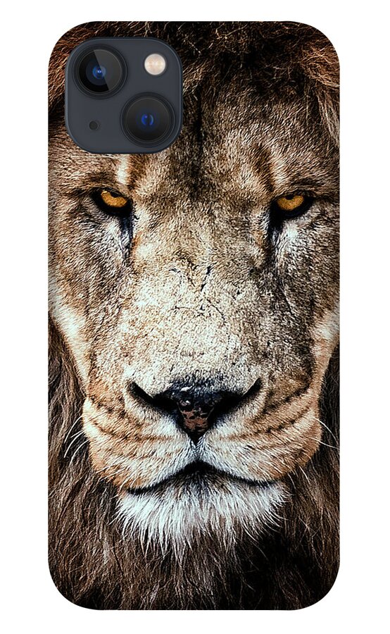 Lion iPhone 13 Case featuring the photograph Veteran by David Soldano