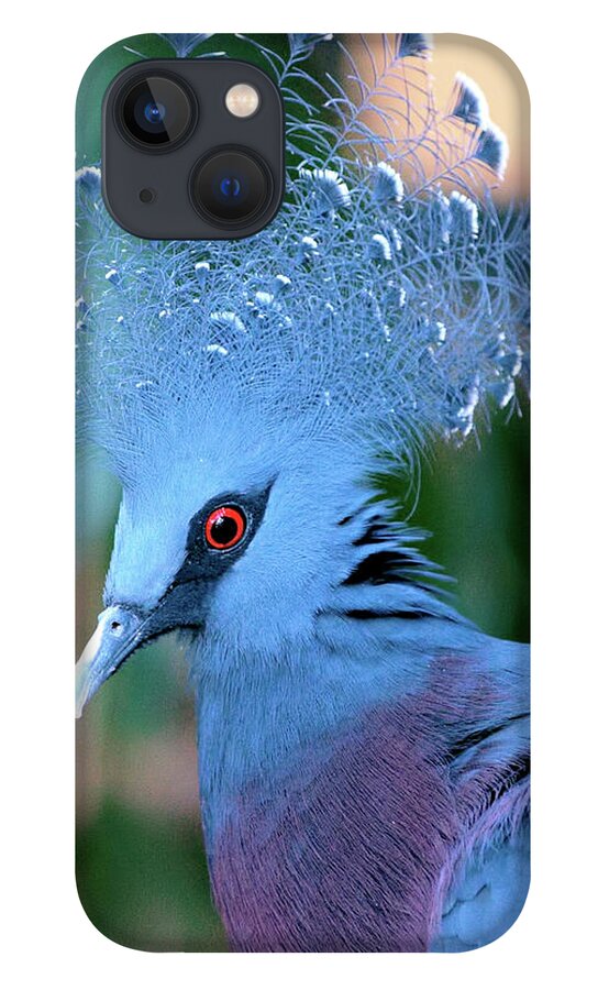 Portrait iPhone 13 Case featuring the photograph Victoria Crowned Pigeon by Baggieoldboy