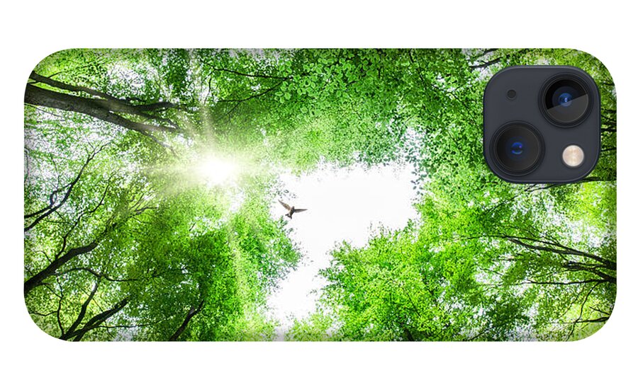Tree iPhone 13 Case featuring the photograph View through tree canopy with bird soaring by Simon Bratt