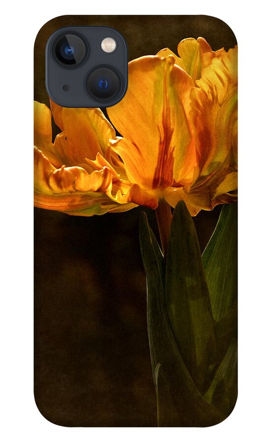 Tulip iPhone 13 Case featuring the photograph Vintage 2017 Tulip by Richard Cummings