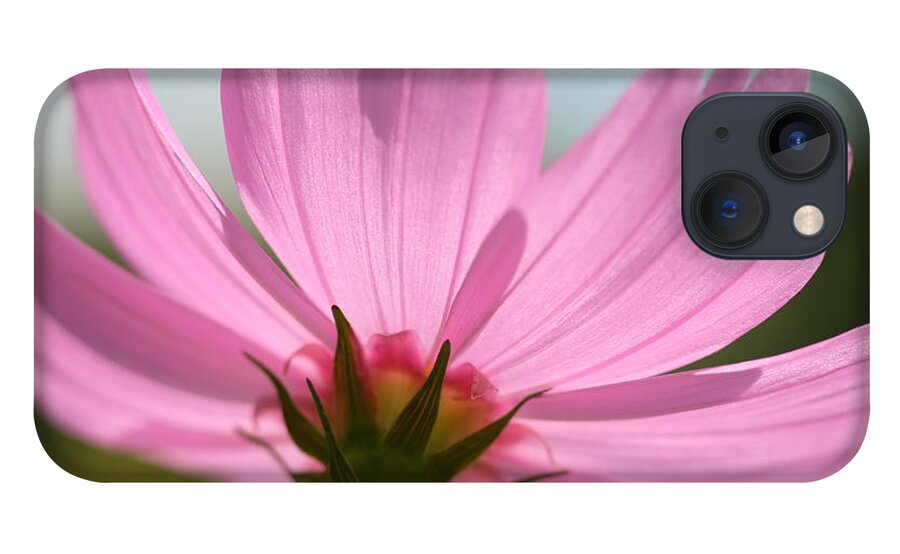 Flower iPhone 13 Case featuring the photograph Vintage Summer by Jessica Myscofski