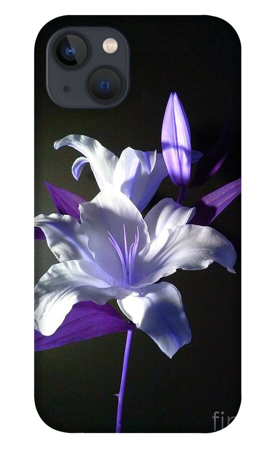 Violet iPhone 13 Case featuring the photograph Violet Lily by Delynn Addams