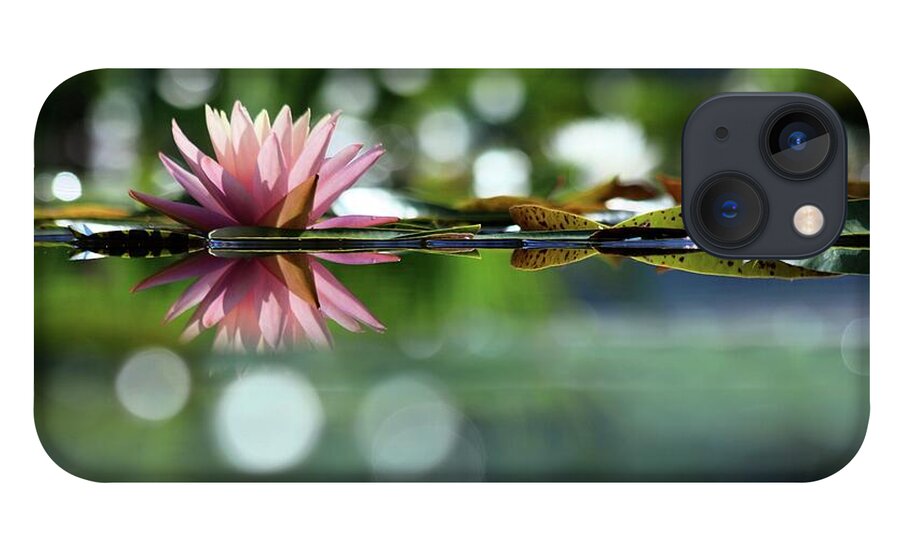  Soft Pink Water Lily iPhone 13 Case featuring the photograph Water Lily And Bokeh by Carol Montoya