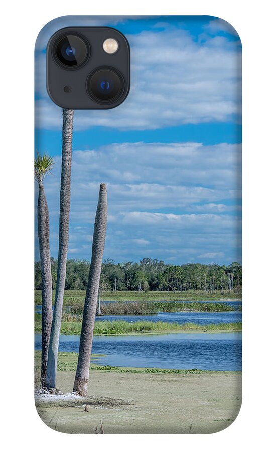 Wetland iPhone 13 Case featuring the photograph Wetland by Jaime Mercado