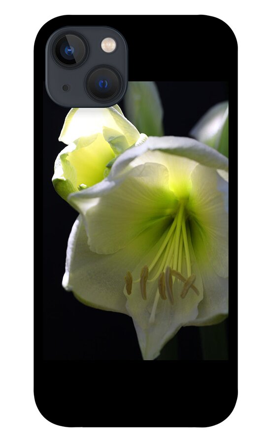 Flower iPhone 13 Case featuring the photograph White Amaryllis by Tammy Pool
