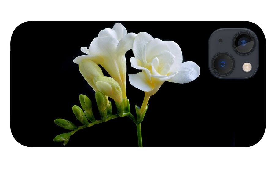 Freesia iPhone 13 Case featuring the photograph White Freesia by Terence Davis
