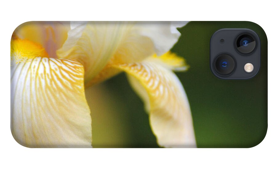 Iris iPhone 13 Case featuring the photograph White Iris I by Jai Johnson