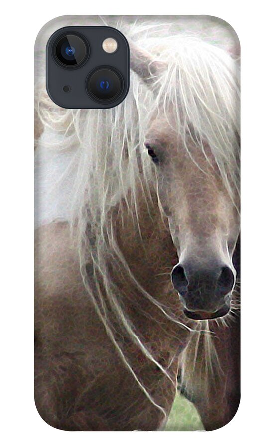 Stallion iPhone 13 Case featuring the photograph White Lightening by Captain Debbie Ritter