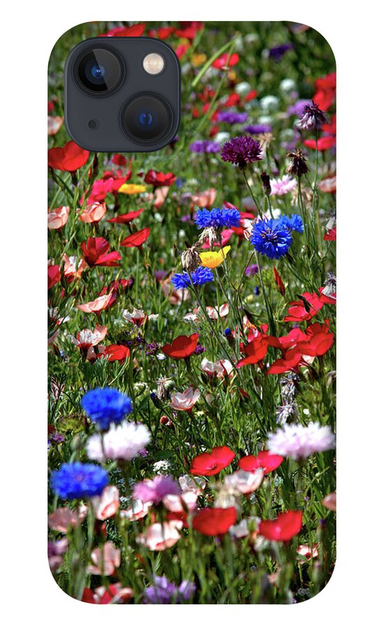 Flowers iPhone 13 Case featuring the photograph Wild Flower Meadow 2 by Baggieoldboy