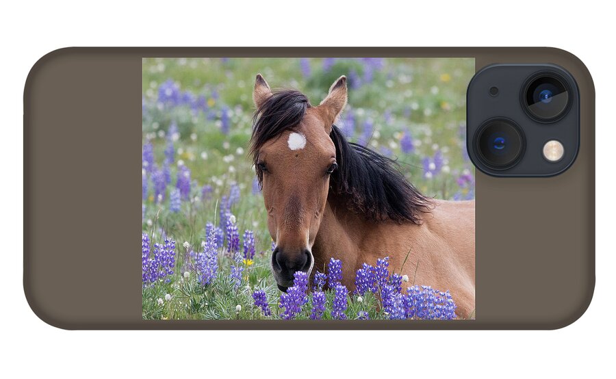 Wild Horse iPhone 13 Case featuring the photograph Wild Horse Among Lupines by Mark Miller