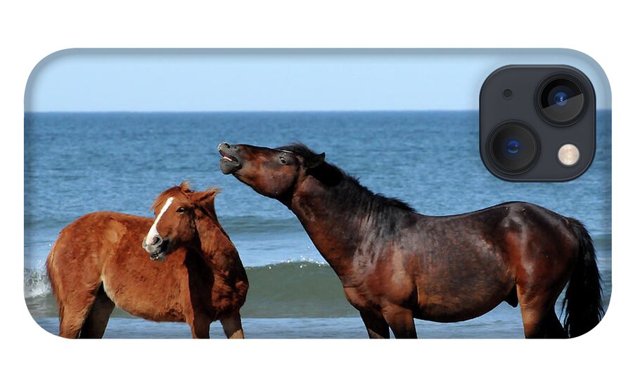 Wild iPhone 13 Case featuring the photograph Wild Horses on Beach by Ted Keller
