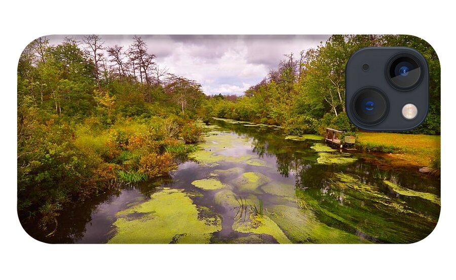 Featured iPhone 13 Case featuring the photograph Wilderness Creek in the Autumn Woods by Stacie Siemsen
