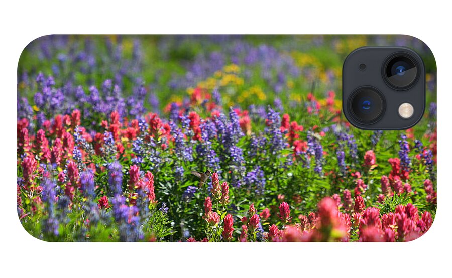 Wildflower iPhone 13 Case featuring the photograph Wildflower Meadow and Hummingbird by Brett Pelletier