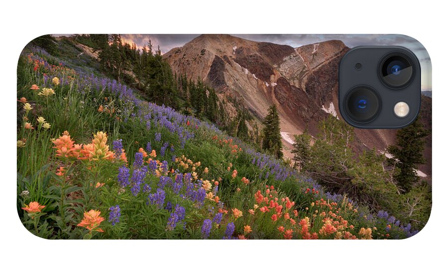 Landscape iPhone 13 Case featuring the photograph Wildflowers with Twin Peaks at Sunset by Brett Pelletier