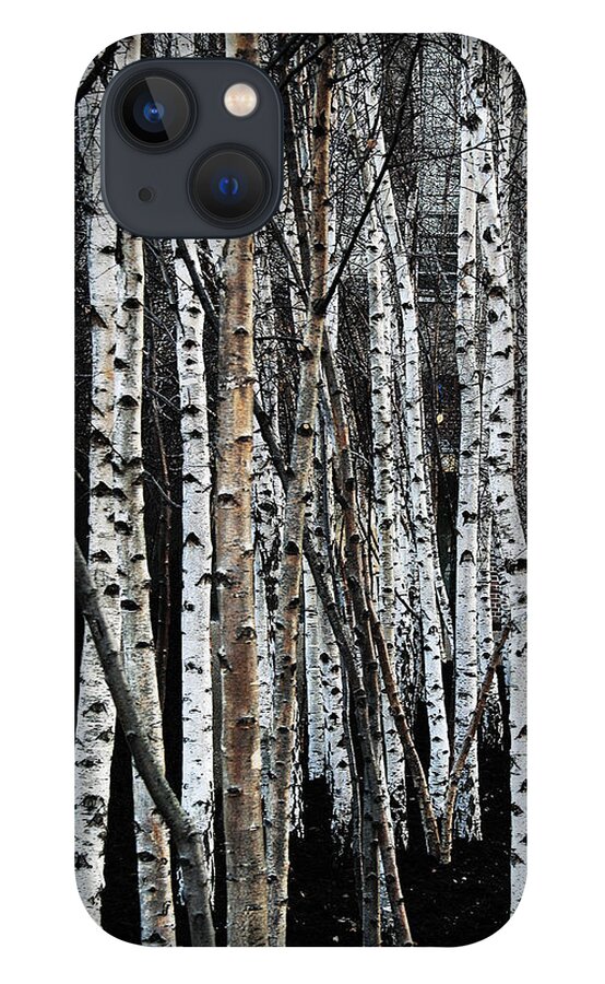 Trees iPhone 13 Case featuring the digital art Birch by Julian Perry