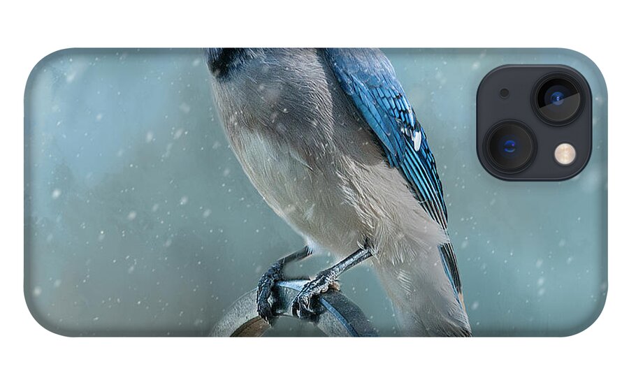 Blue Jay iPhone 13 Case featuring the photograph Winter Blue Jay Square by Cathy Kovarik