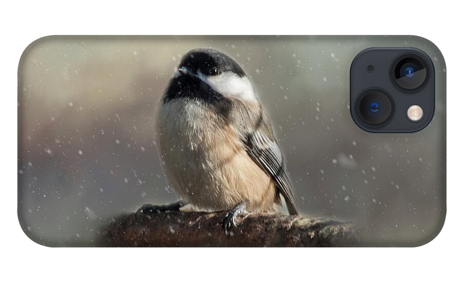 Song Bird iPhone 13 Case featuring the photograph Winter Chicadee by Cathy Kovarik
