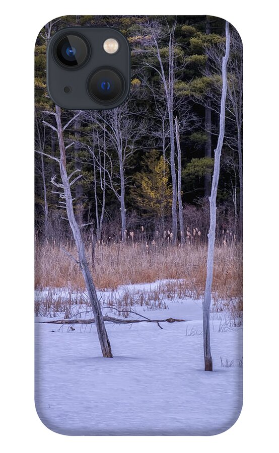 Spofford Lake New Hampshire iPhone 13 Case featuring the photograph Winter Marsh And Trees by Tom Singleton