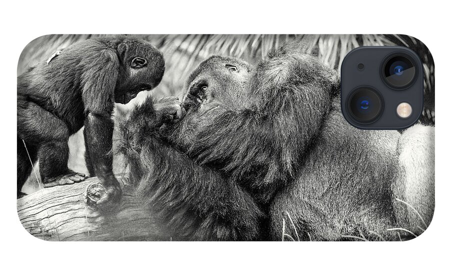 Gorilla iPhone 13 Case featuring the photograph Wisdom by William Blonigan