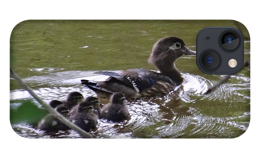Birds iPhone 13 Case featuring the photograph Wood Duck and Ducklings by Christopher Plummer