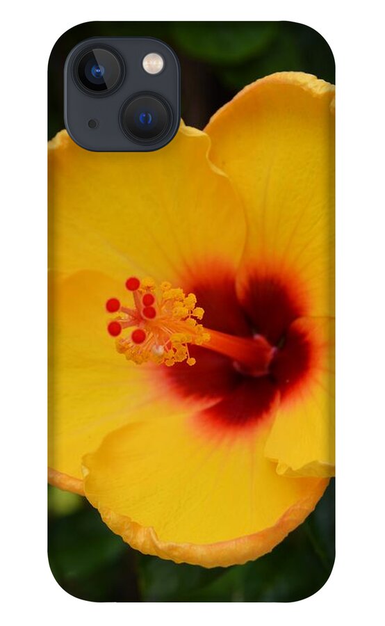Yellow And Crimson Hibiscus iPhone 13 Case featuring the photograph Yellow and Crimson Hibiscus by Warren Thompson