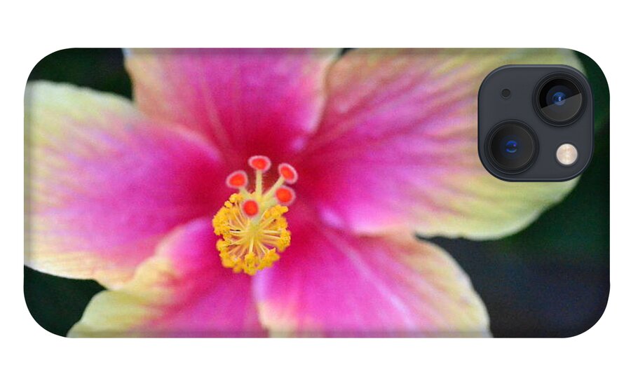Flower iPhone 13 Case featuring the photograph Yellow and Pink Hibiscus 2 by Amy Fose