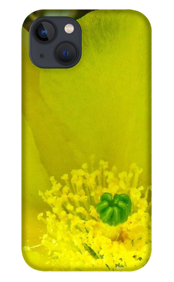  Arizona iPhone 13 Case featuring the photograph Yellow Bloom 1 - Prickly Pear Cactus by Judy Kennedy